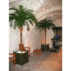 Palmera Fénix Artificial Deluxe  300cm