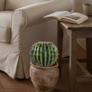 CACTUS REDONDO EN MACETA 35CM