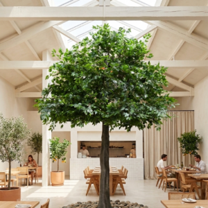 ARBOL FICUS GIGANTE ARTIFICIAL 4M
