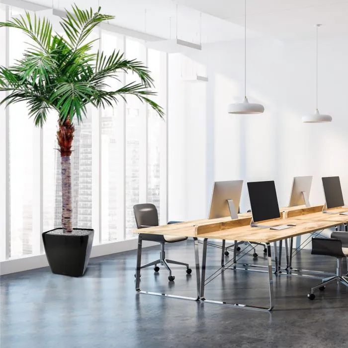 Palmera artificial gigante Majesty de 350 cm - Imagen 2