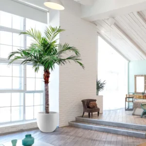 Palmera artificial gigante Majesty de 350 cm