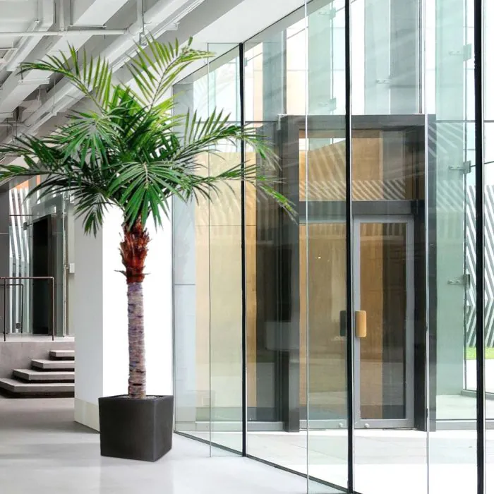 Palmera artificial gigante Majesty de 350 cm - Imagen 4