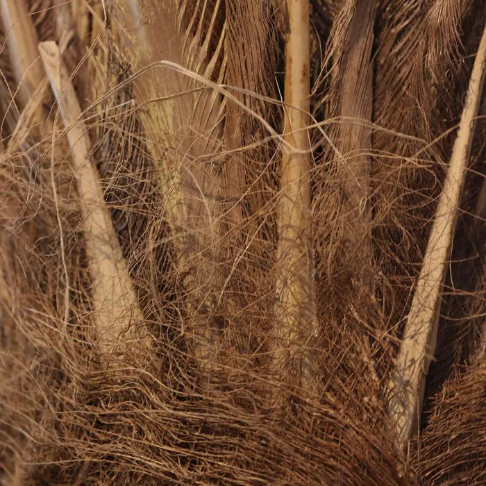 Palmera artificial gigante Majesty de 350 cm - Imagen 7