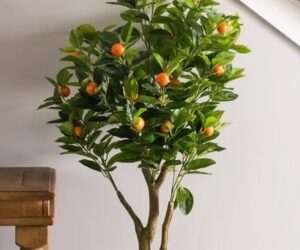 SEGURIDAD Y TRATO CERCANO, MARCA LA DIFERENCIA.