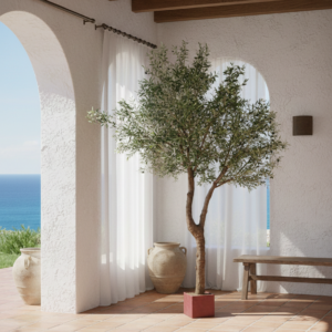 Olivo 93724. -2.50 mtrs