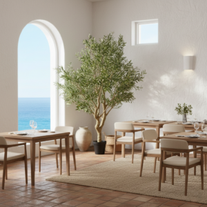 OLIVO ALBERO 2.5 MTRS.