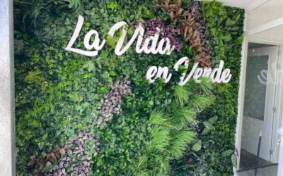 BELLEZA NATURAL CON JARDINES VERTICALES