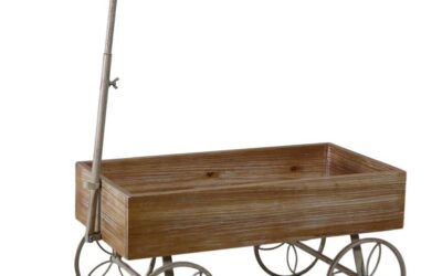 CARRITOS PARA EVENTOS