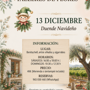 Taller Artesanal Duende Navideño