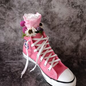 zapatillas converse