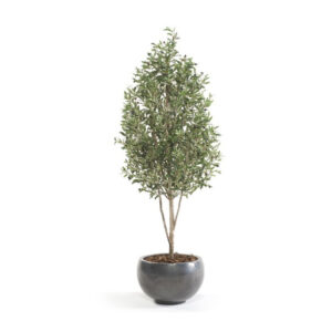 OLIVO ARTIFICIAL 1.70 MTRS.