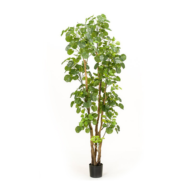 ARALIA ARTIFICIAL 1.90 MTRS