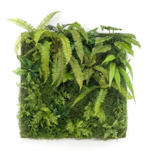 JARDIN VERTICAL SALVAJE