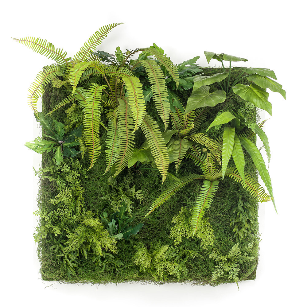 JARDIN VERTICAL SALVAJE