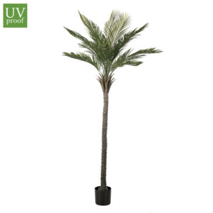 GRAN PALMERA 2.10 MTRS