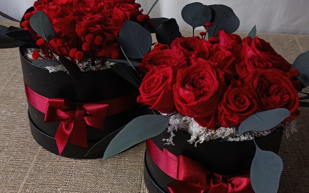 PRESERVADO LIOFILIZADO