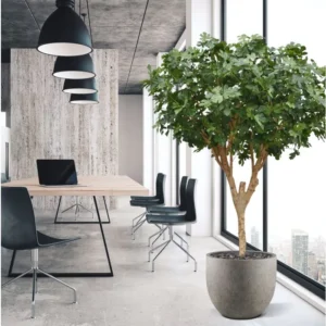 Higuera artificial Deluxe 250cm